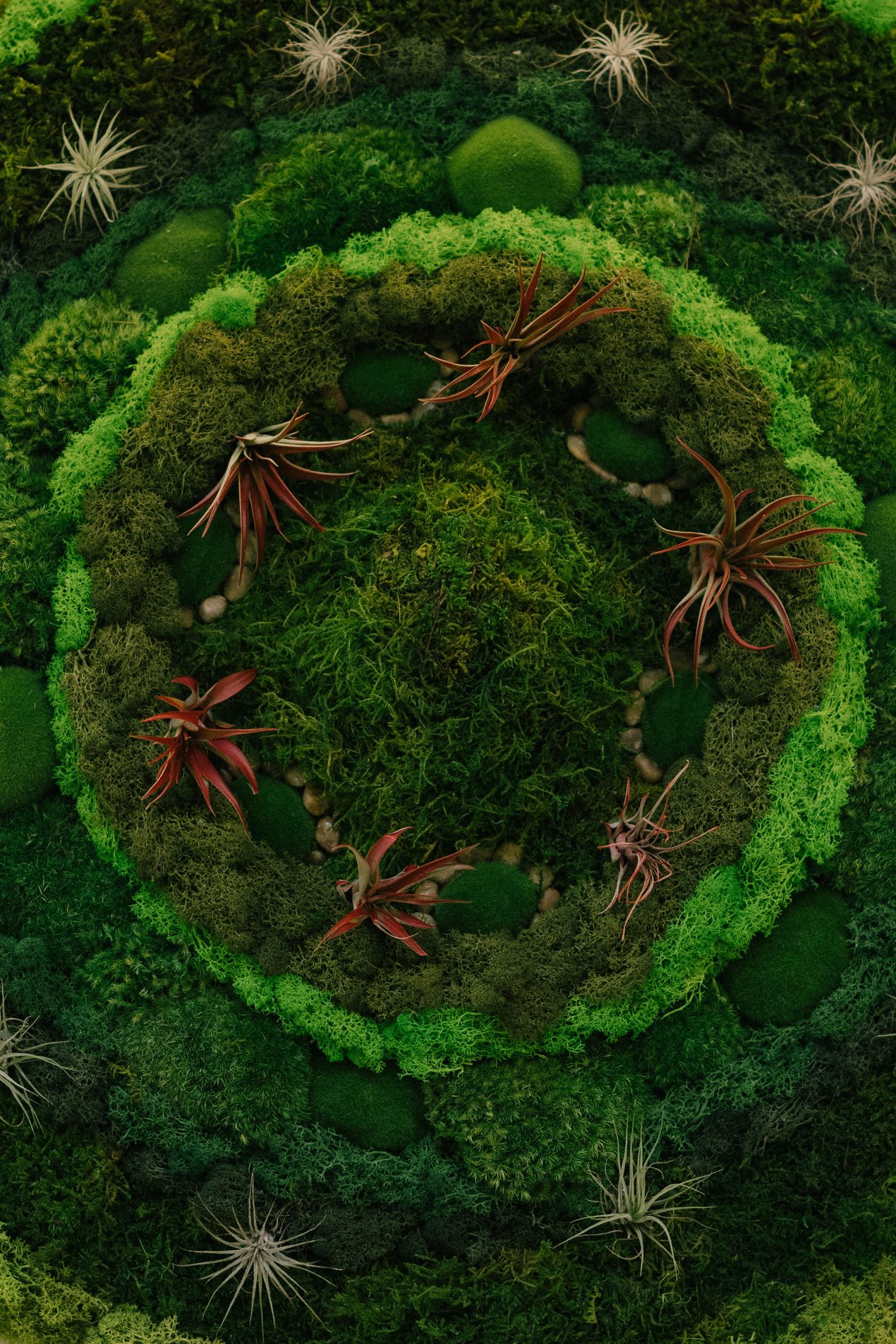 Jardín de musgo